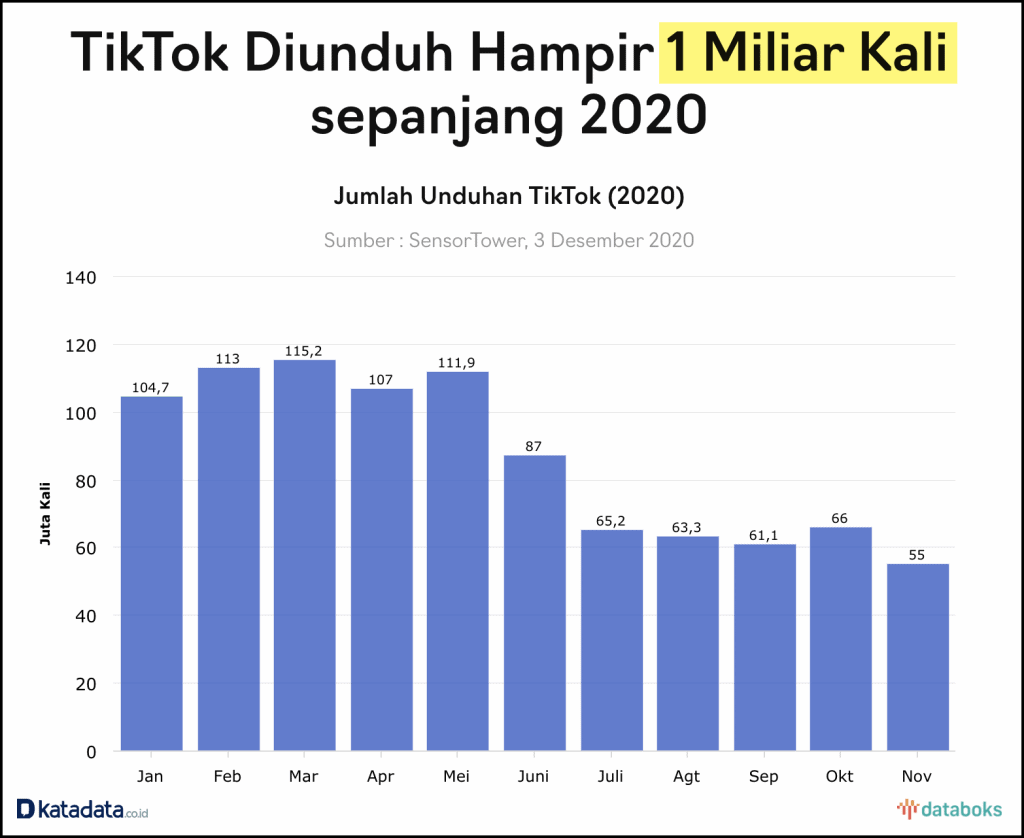 data pengguna tiktok