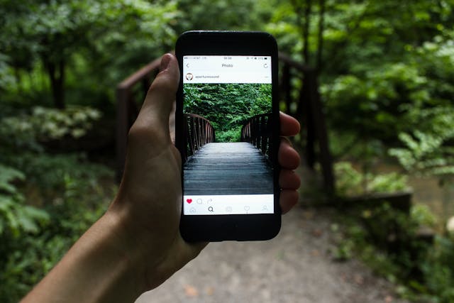 Instagram Uji Coba Fitur Auto Scroll